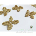 Ulubione składniki cukrowego Chefa Walnut Chernels